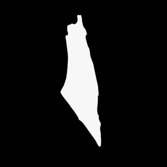 Palestine Map Sticker