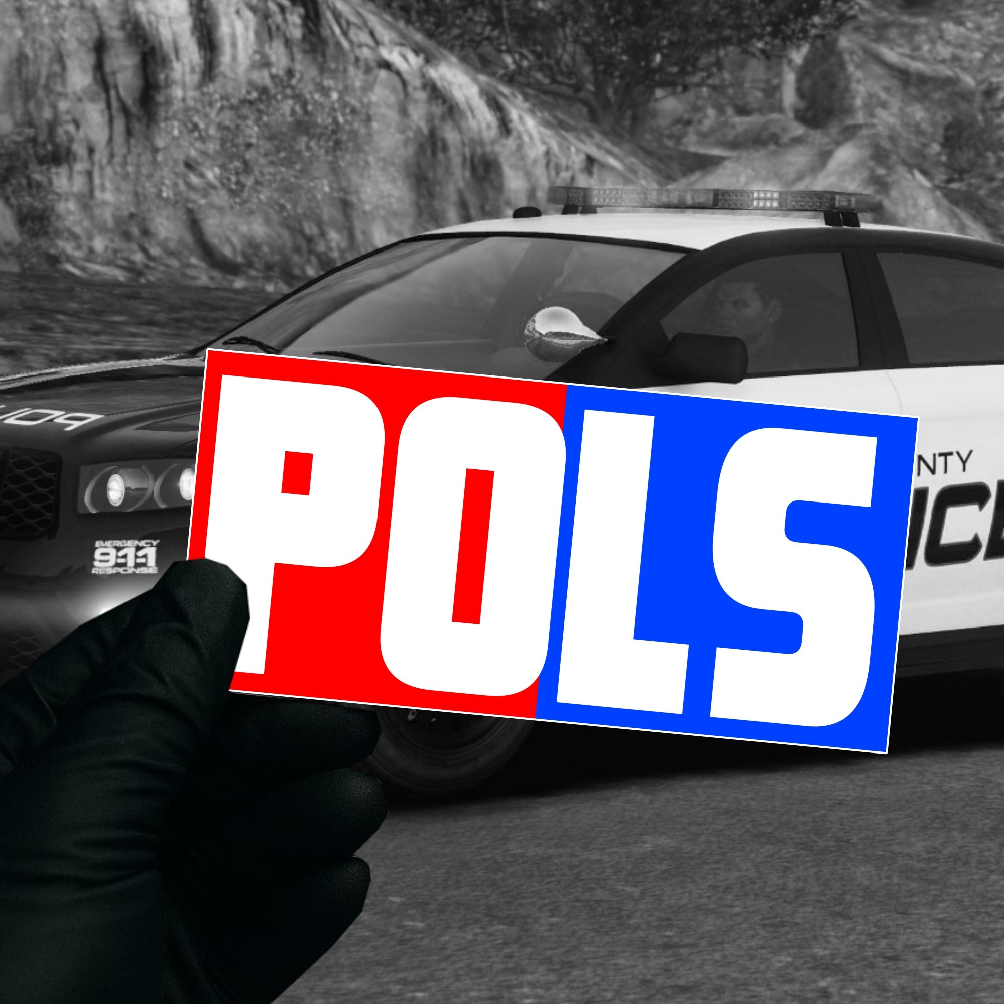 POLS - Sticker